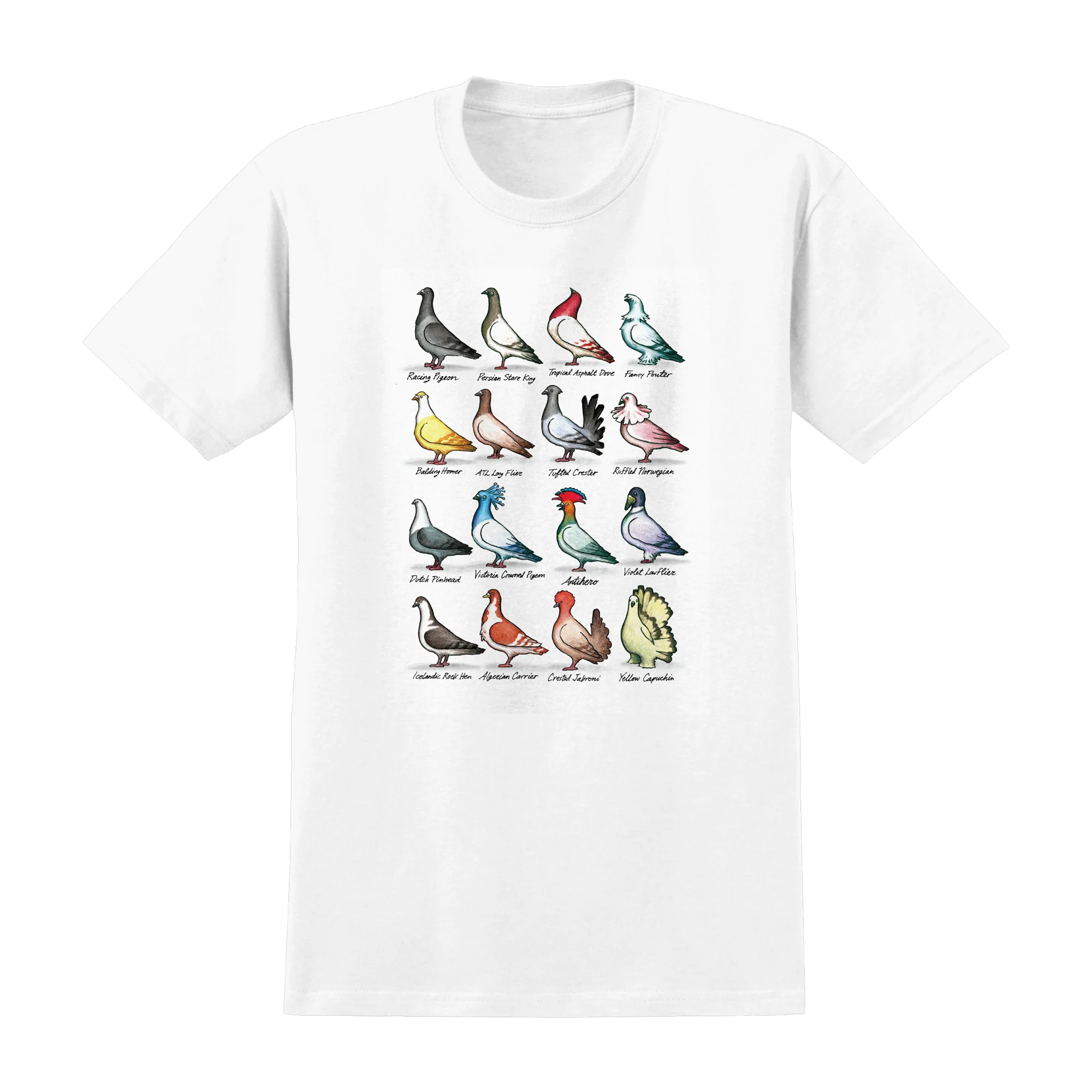 ANTI HERO SHOW PIGEONS TEE WHITE
