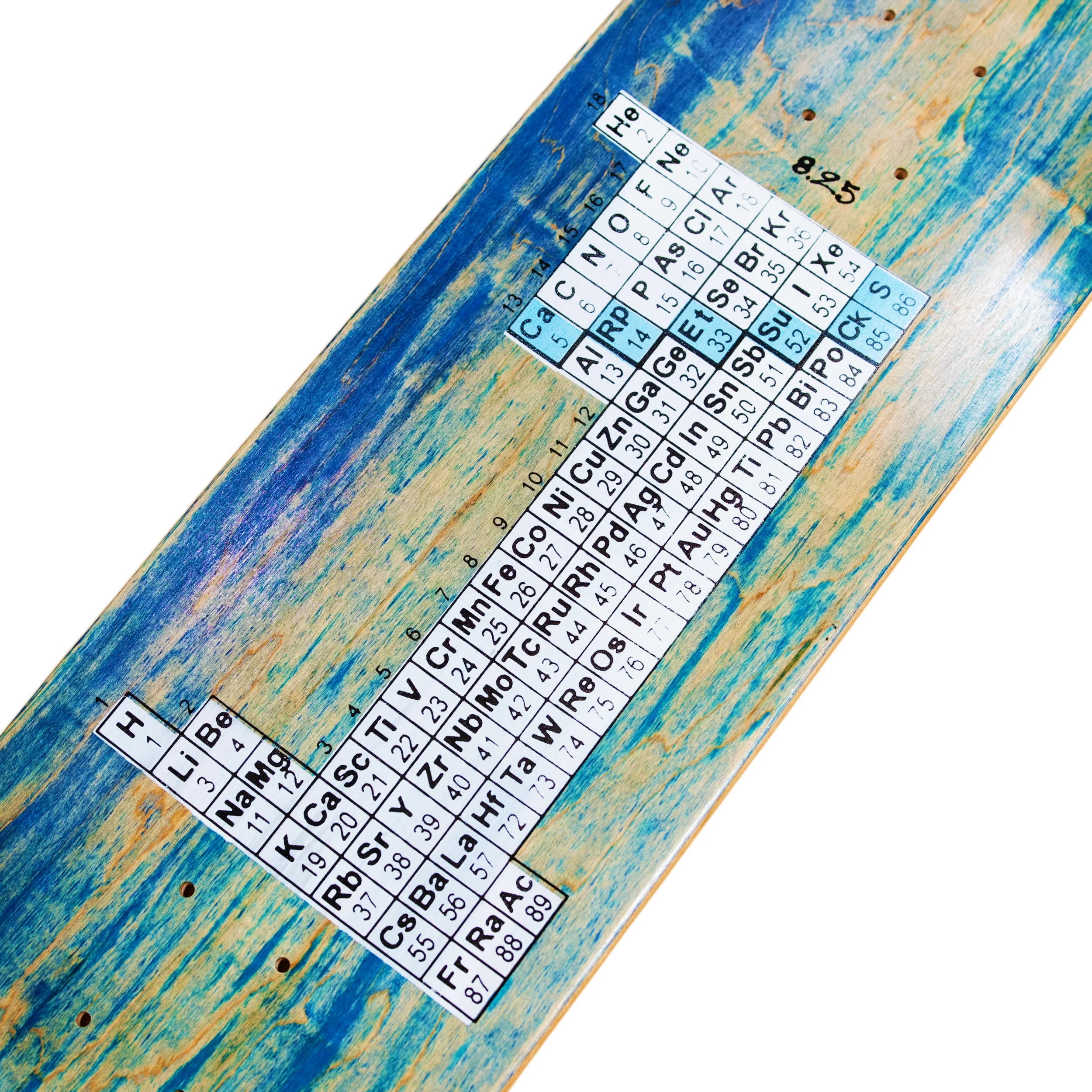 CARPET BACTERIA - Image 2