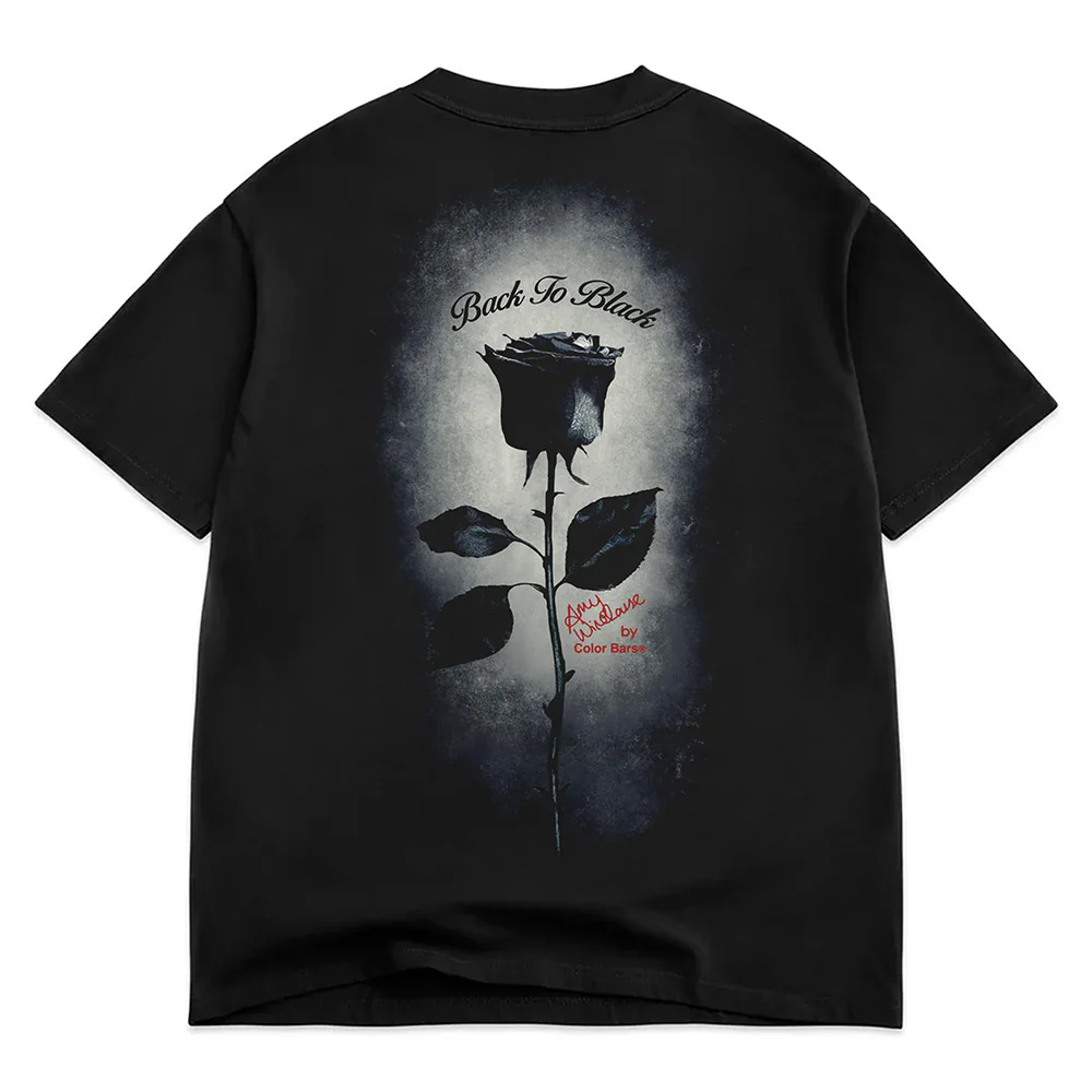 COLOR BARS AMY WINEHOUSE BACK TO BLACK TEE BLACK - Image 2