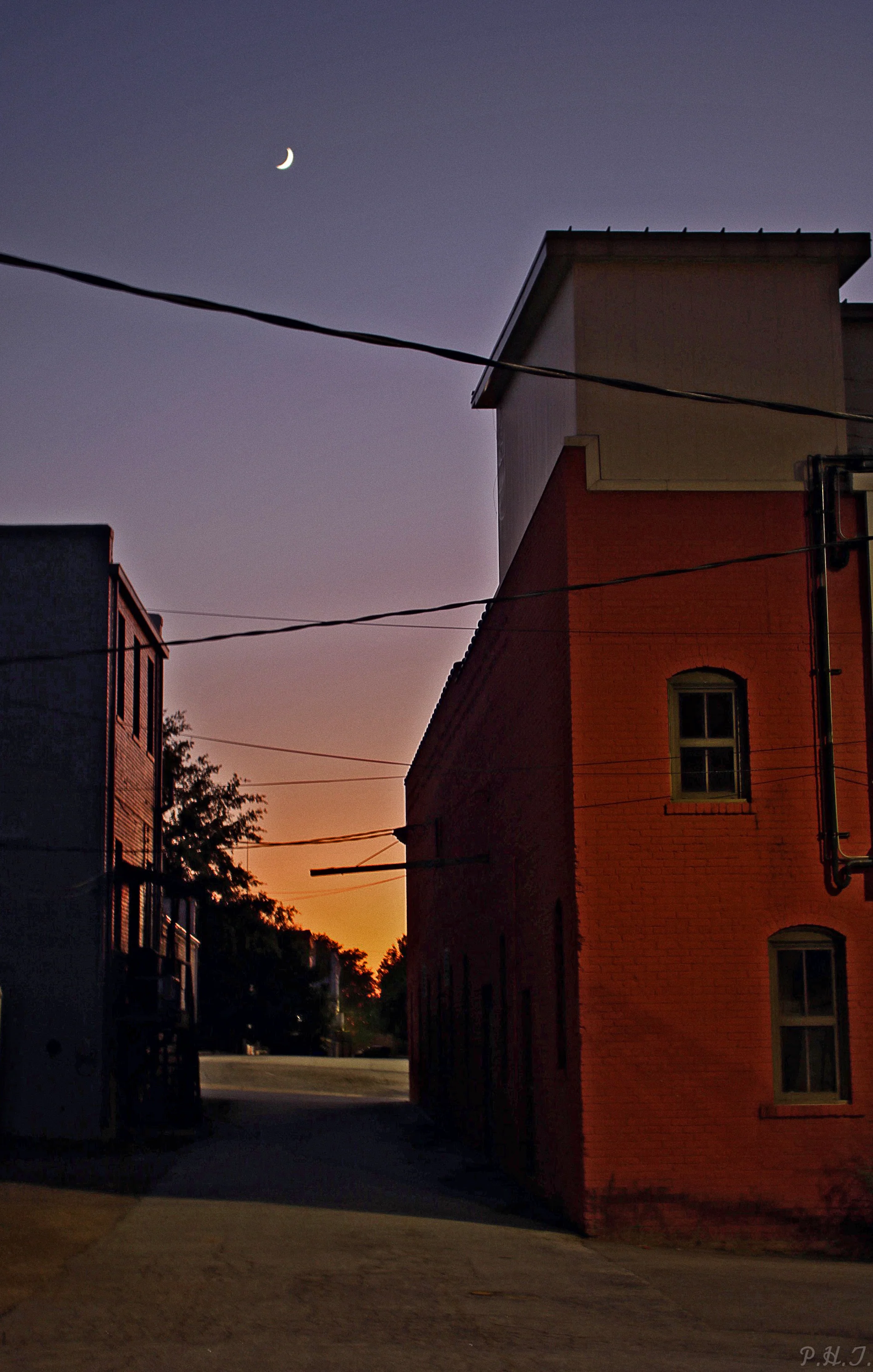 Transitions by Philip Taylor