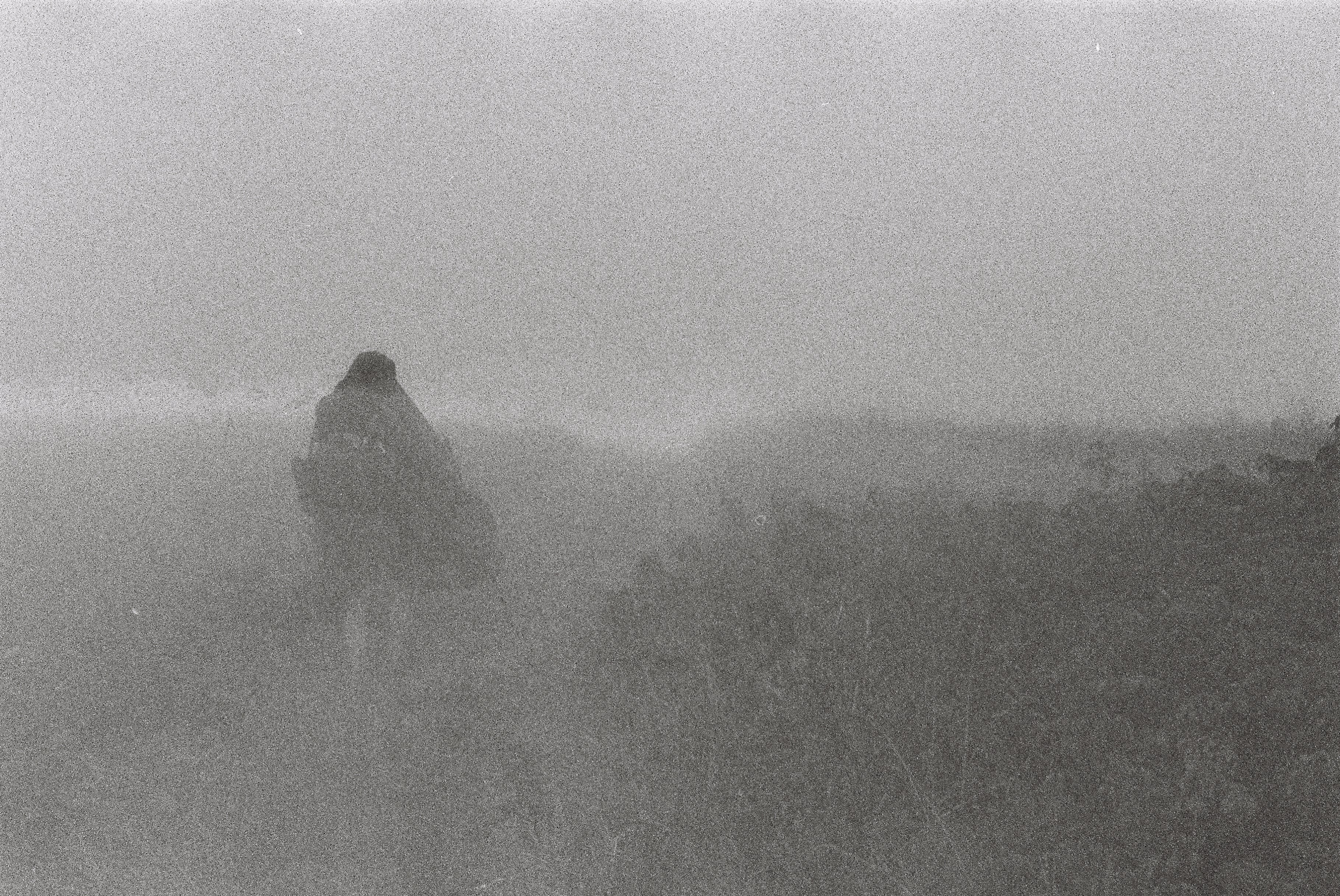 Fog by Shawn Gerald