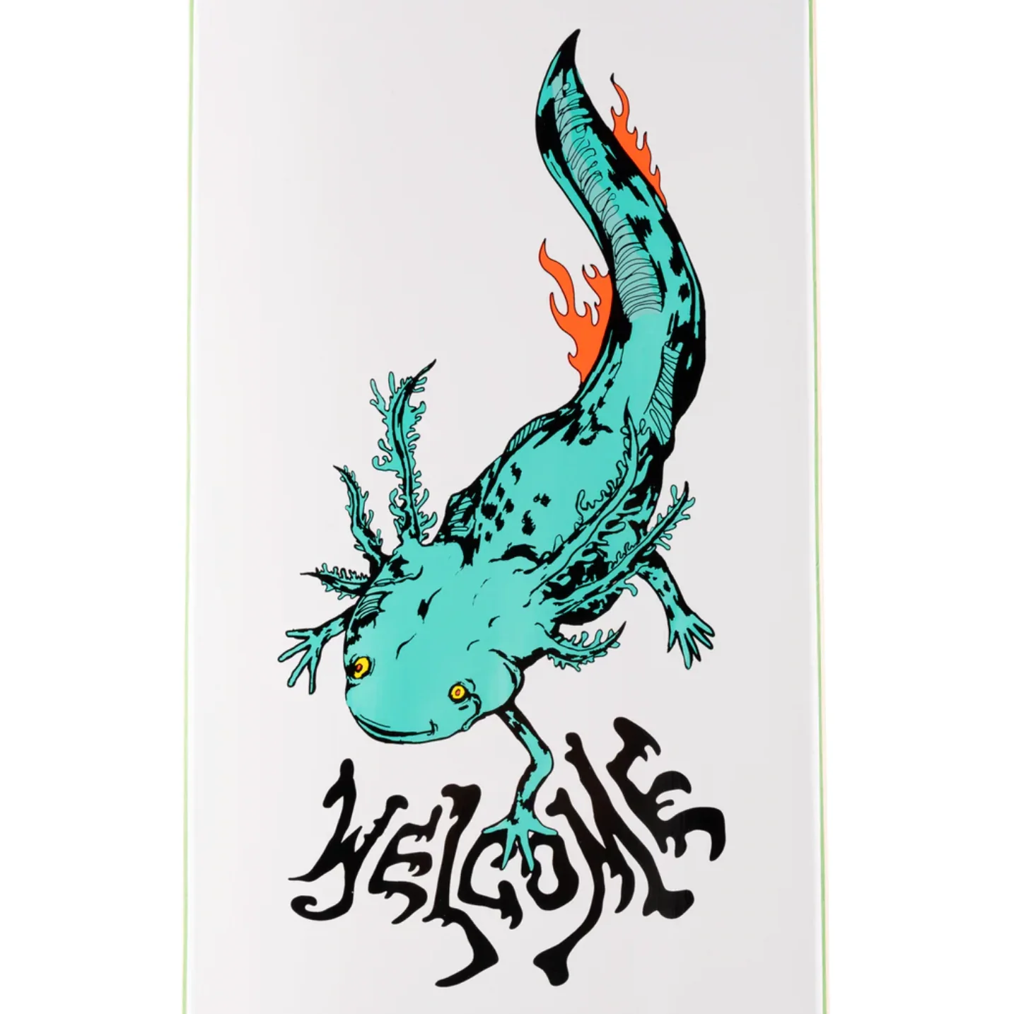 WELCOME AXLOTL ON BUNYIP - Image 2